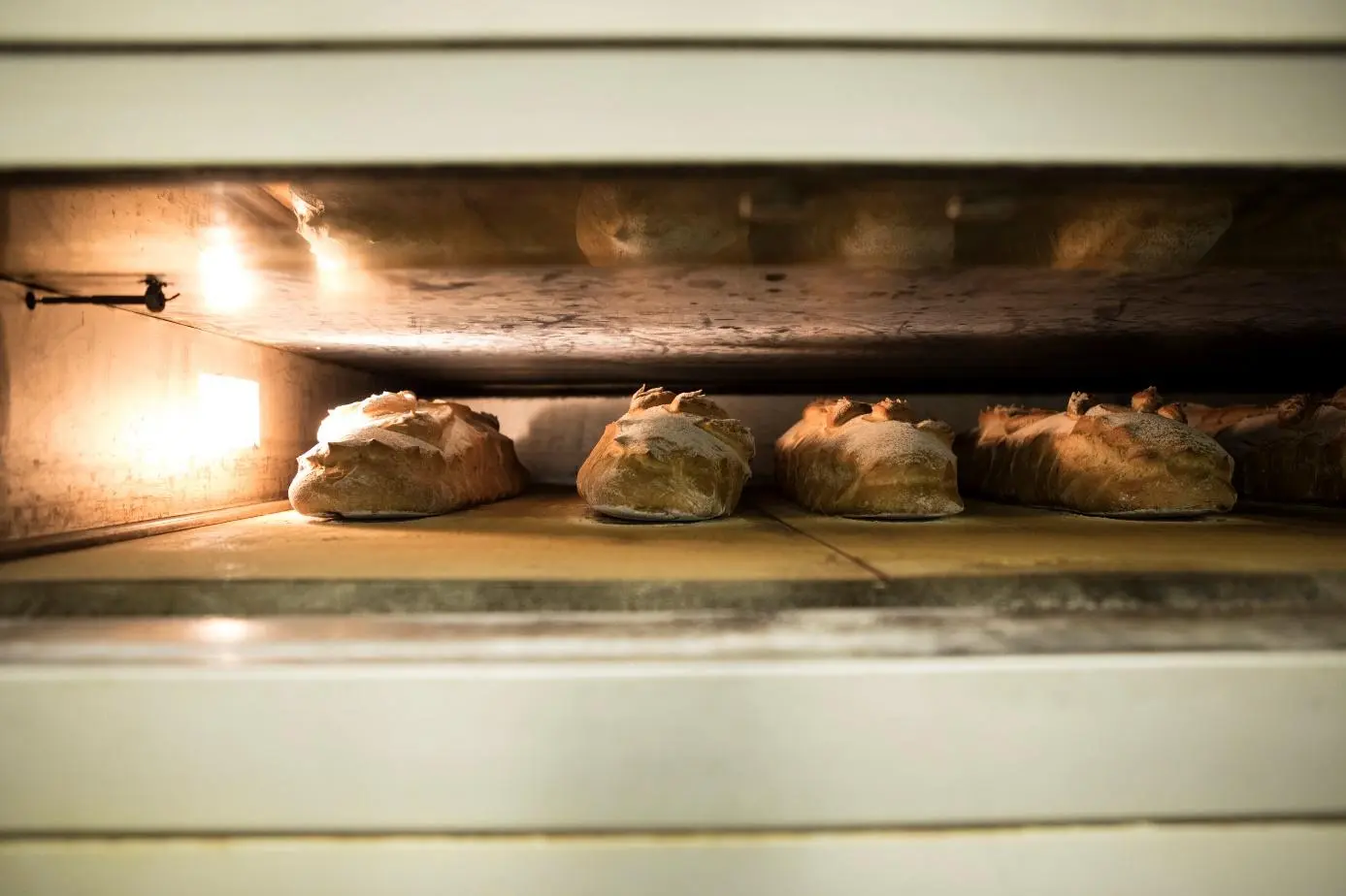 Frisch gebackene Brote in der Bäckerei Auf dem Wolf von Weizenkorn