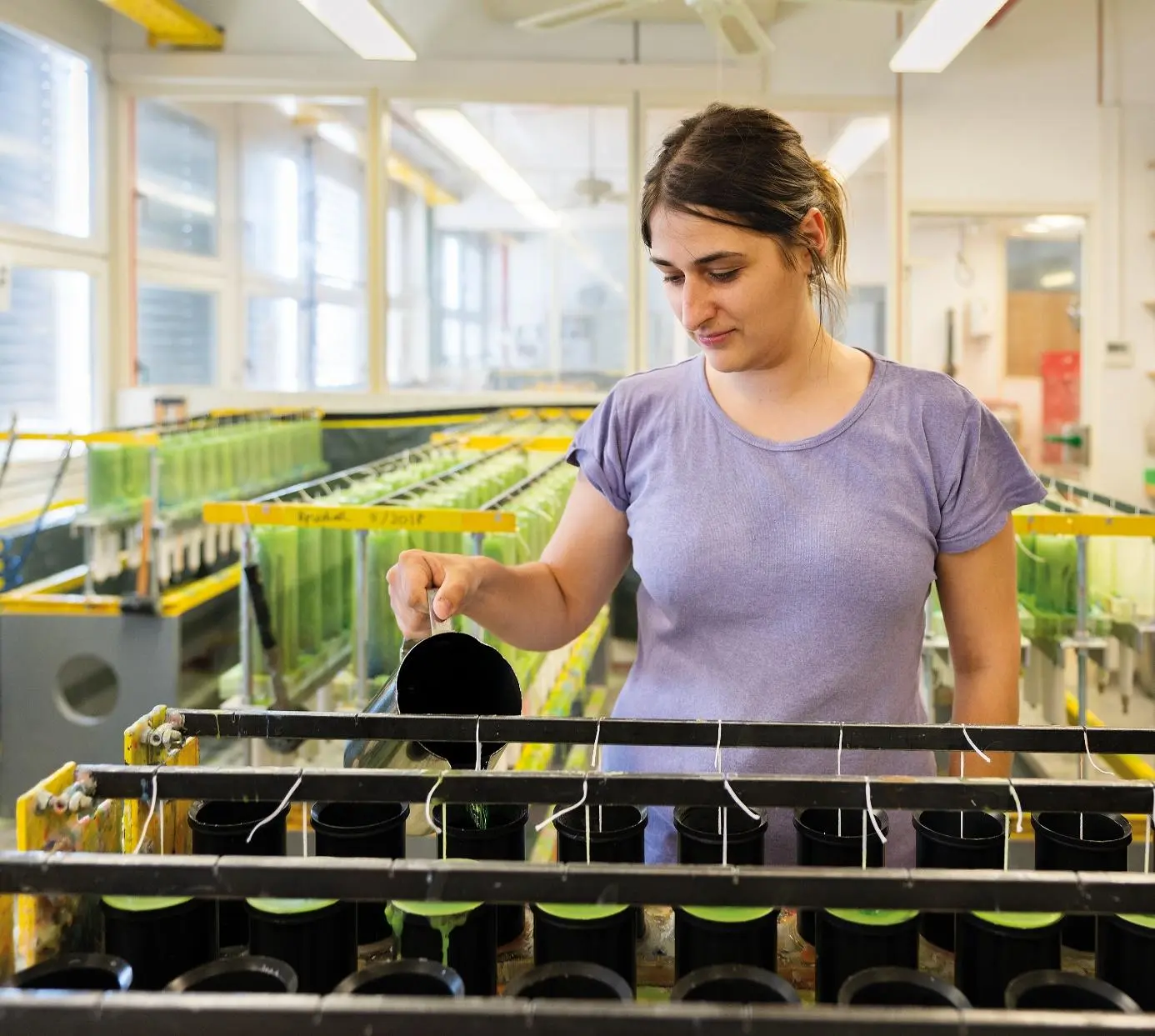 Mitarbeiterin arbeitet in der Kerzenwerkstatt von Weizenkorn